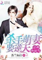首席总裁杀手妻