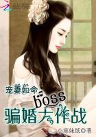 宠妻如命无防盗