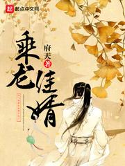 乘龙佳婿打一生肖是哪个生肖