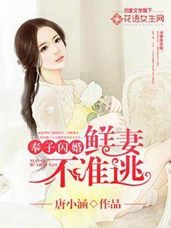 骄傲总裁爱妻你别跑