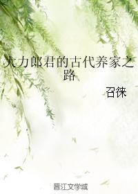 大力郎君的古代养家之路 ...