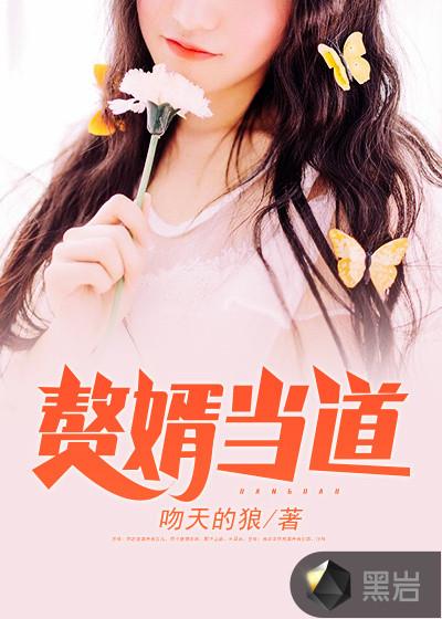 赘婿当道段位排行