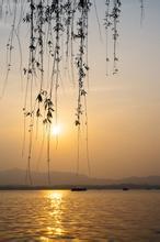 翠兰的爱情