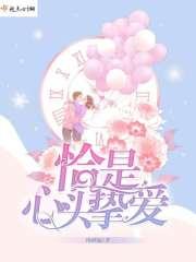 老头的心头挚爱是谁