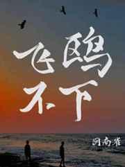 飞鸥不下20章完整版