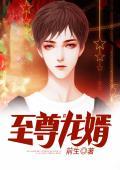 都市至尊龙婿