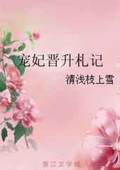 宠妃晋升札记 清浅枝上雪全文免费阅读