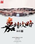 嘉靖期间