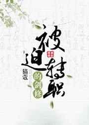 被迫转职的剑修攻受是谁