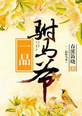 一品驸马 百度