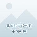 仙道天仙