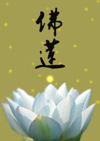 佛莲歌曲原唱完整版