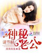 神秘老公请节制免费阅读全文