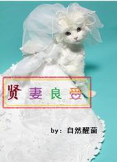 贤妻良母指的是什么生肖