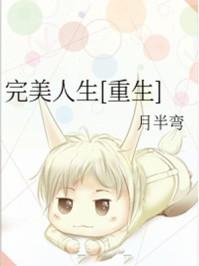完美人生by