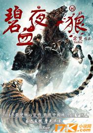 碧血狂杀2
