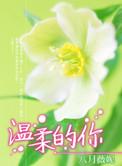 温柔的你gl讨酒的叫花子原唱视频