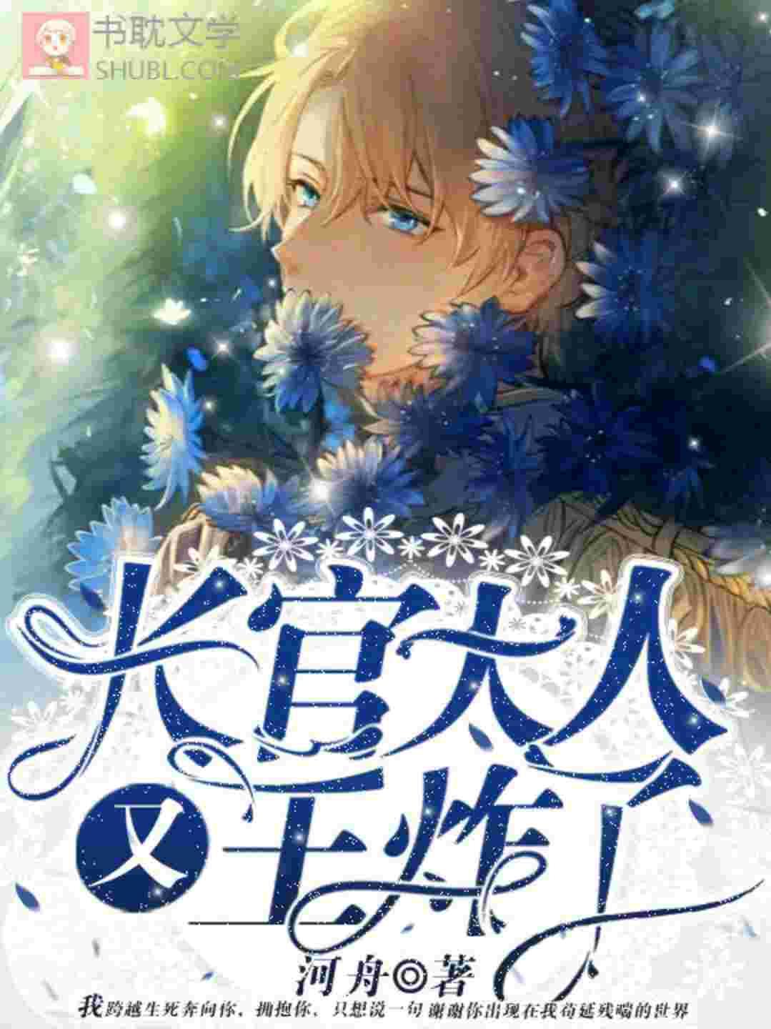 长官大人又王炸了河舟txt百度