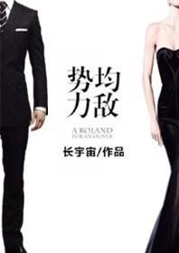 势均力敌的婚姻