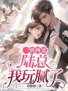一别两宽陆总我玩腻了许留夏陆衍沉番外