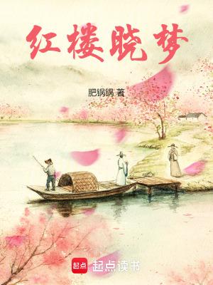 红楼晓梦无删节笔趣阁