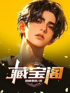 藏宝阁电脑版