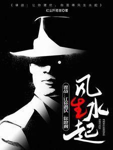 谍战上海滩完整版