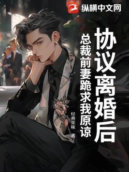 总裁前妻离婚后爱情