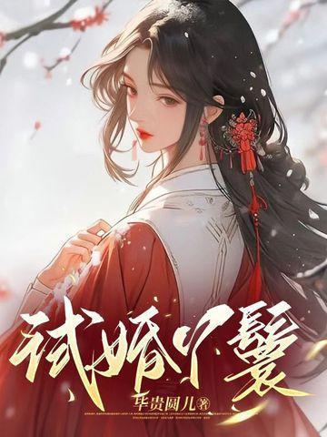 试婚丫鬟by青灯