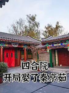四合院之我是秦淮茹的