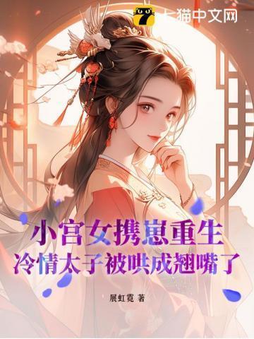 小宫女与皇子的
