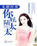 先婚后爱你好陆太太免费阅读