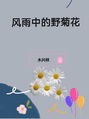 风雨中的菊花作者