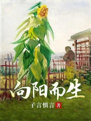 逐光而行
