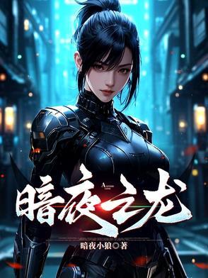 暗夜暴龙怎么打