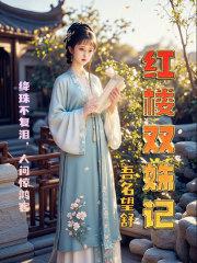 红楼双姝记笔趣阁