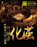 三国之化龙奇书网