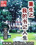 重生之我的书记人生女主
