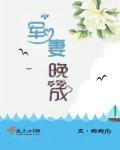 军妻太猖狂