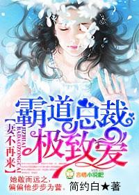 霸道总裁小妻惹不得