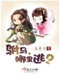 驸马往哪儿跑gl资源