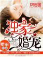 独家婚宠陆少心尖妻免费阅读