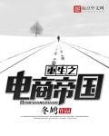 重生从电商到商业帝国全文阅读