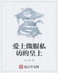 爱上微服私访的皇上漫画