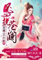 主人公凤沧澜