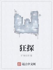 狂探TXT笔趣阁