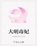 大明皇妃简介