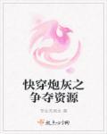 快穿之炮灰系列