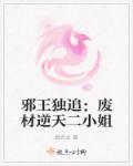 邪王追妻废材逆天小姐(一世倾城)
