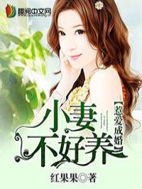 惹爱成婚by绿枢
